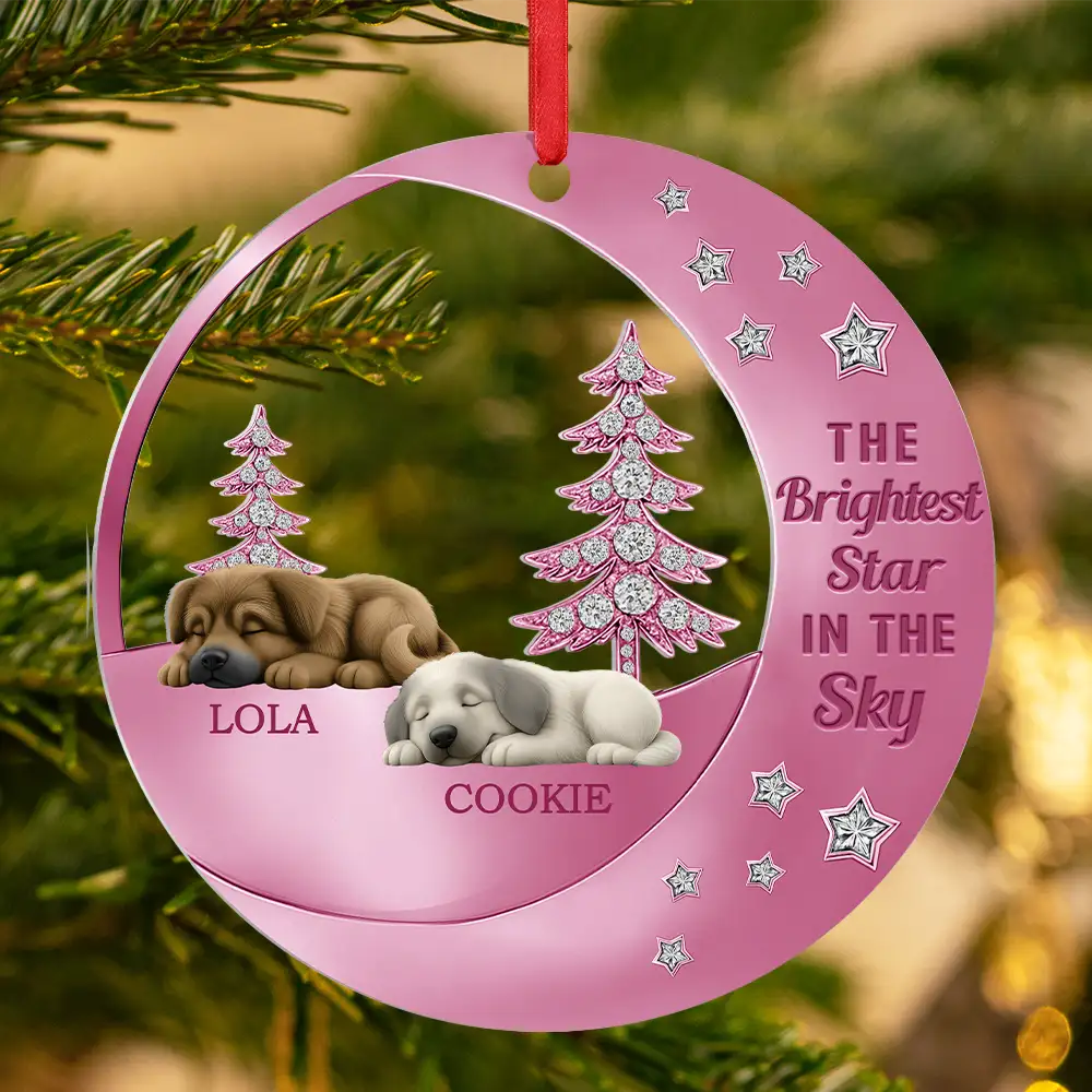 Dog Lovers,Pet Lovers,Sad,Memorial - The Brightest Star In The Sky - Personalized Metal Ornament