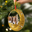 Dog Lovers,Pet Lovers,Sad,Memorial - Custom Photo The Brightest Star In The Sky - Personalized Metal Ornament