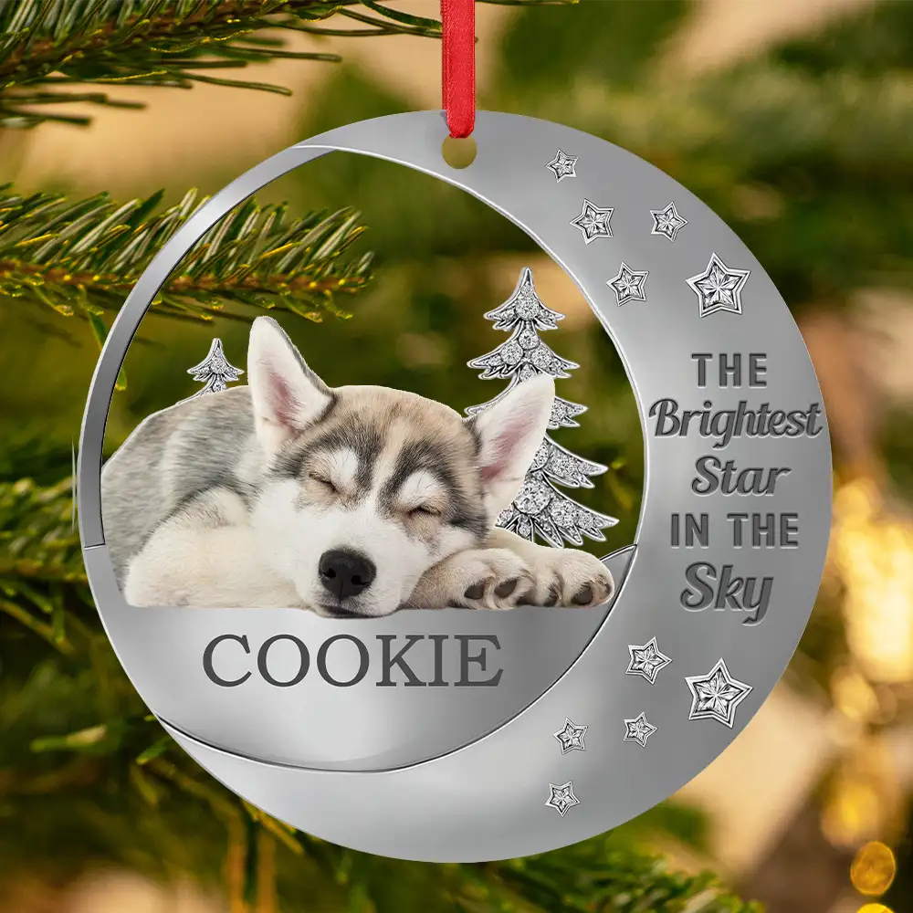Dog Lovers,Pet Lovers,Sad,Memorial - Custom Photo The Brightest Star In The Sky - Personalized Metal Ornament