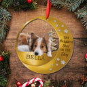 Dog Lovers,Pet Lovers,Sad,Memorial - Custom Photo The Brightest Star In The Sky - Personalized Metal Ornament
