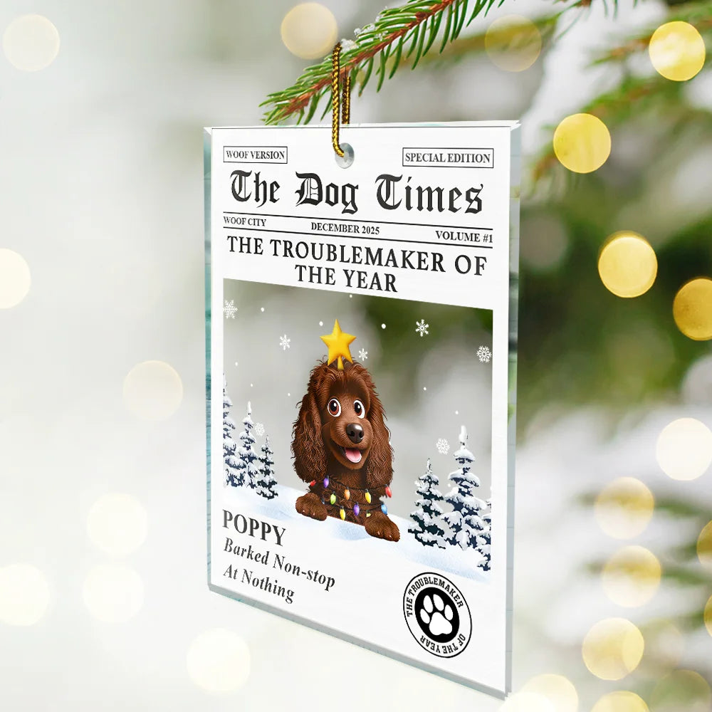 Pet Lovers,Pet Mom,Pet Dad,Dog Lovers,Dog Mom,Dog Dad,Cat Lovers,Cat Mom,Cat Dad,Christmas,Funny,Non-Eng - The Dog Times The Meow Times - Personalized Custom Shaped Acrylic Ornament