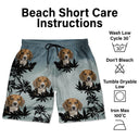 Photo personnalisée drôle de visage d'animal de compagnie couleur coucher de soleil - Cadeau amusant pour les amoureux des animaux, maman chien, maman chat, papa chien, papa chat - Short de plage unisexe personnalisé