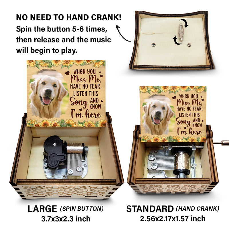 Custom Photo When You Miss Me - Loving, Memorial Gift For Family, Siblings, Friends - Personalized Spin Button, Hand Crank Music Box