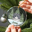 Best Friend For Life Christmas Memorial Dog Cat - Personalized Circle Glass Ornament