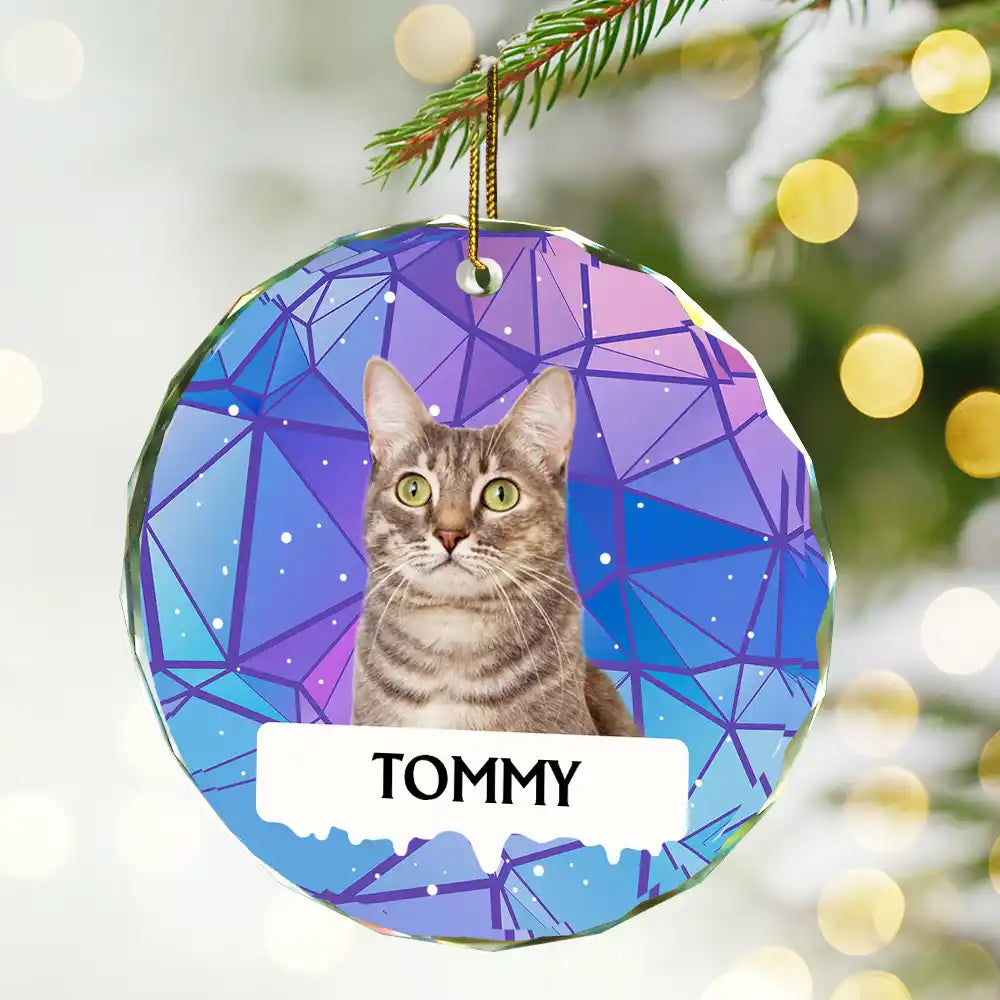 Custom Photo Best Friend For Life Christmas Memorial Dog Cat - Personalized Circle Glass Ornament