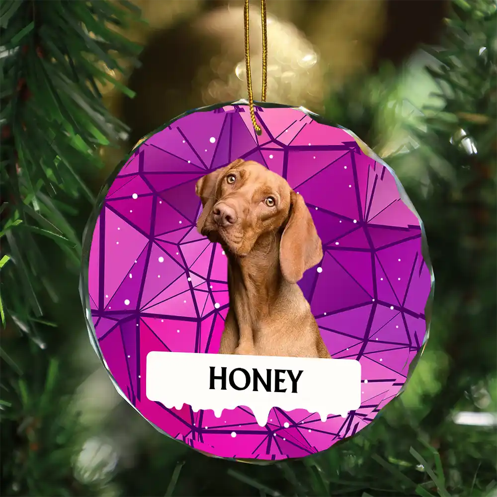 Custom Photo Best Friend For Life Christmas Memorial Dog Cat - Personalized Circle Glass Ornament