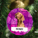 Custom Photo Best Friend For Life Christmas Memorial Dog Cat - Personalized Circle Glass Ornament