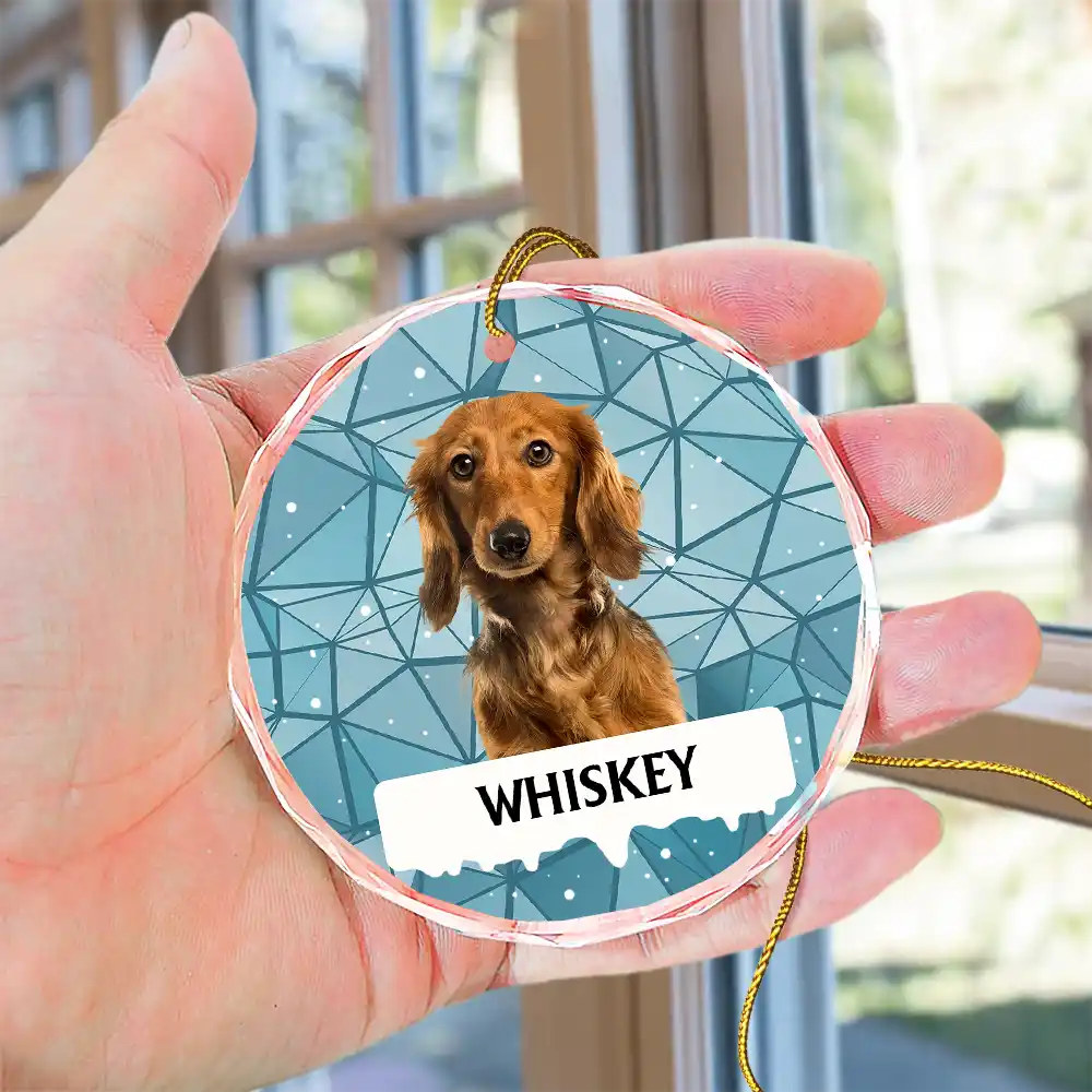 Custom Photo Best Friend For Life Christmas Memorial Dog Cat - Personalized Circle Glass Ornament