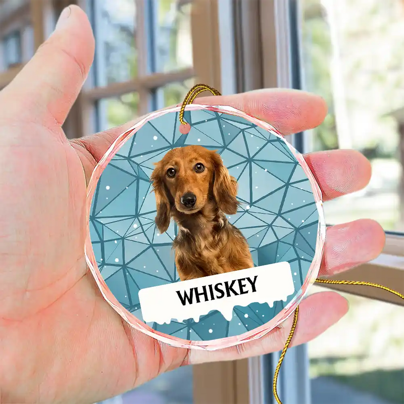 Custom Photo Best Friend For Life Christmas Memorial Dog Cat - Personalized Circle Glass Ornament