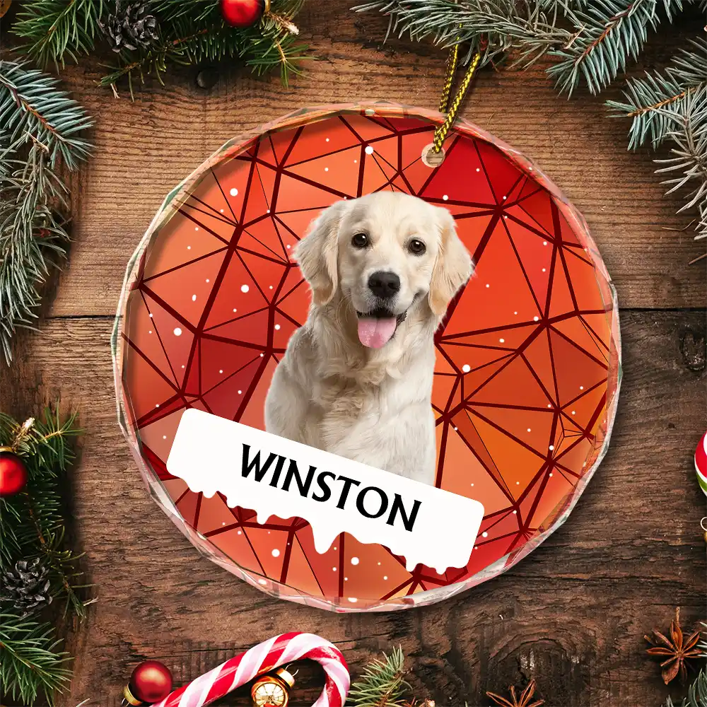 Custom Photo Best Friend For Life Christmas Memorial Dog Cat - Personalized Circle Glass Ornament