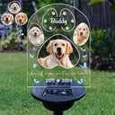 Custom Photo You Left A Paw Print On Our Hearts - Personalized Solar Light
