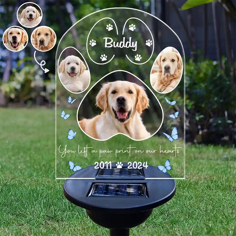Custom Photo You Left A Paw Print On Our Hearts - Personalized Solar Light