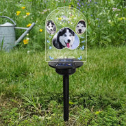 Custom Photo You Left A Paw Print On Our Hearts - Personalized Solar Light