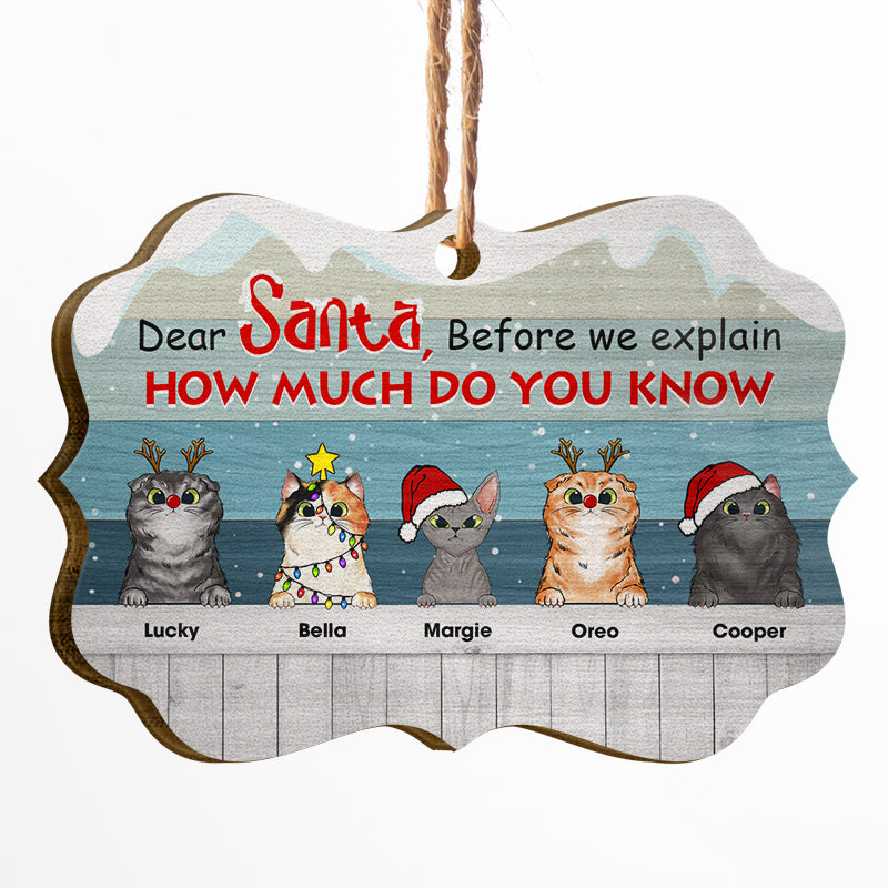 Santa How Much Do You Know - Christmas Gift For Cat Lovers - Personalized Custom Wooden Ornament, Aluminum Ornament