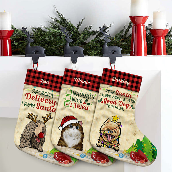 48 Pieces Stocking Pet 6ast Felt 18in 36dog/12cat W/funny Sayings Red/green  Jhook/ht - Christmas Stocking - at 