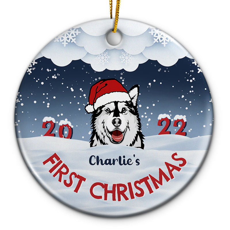 First Christmas - Gift For Dog And Cat Lovers - Personalized Custom Ci ...