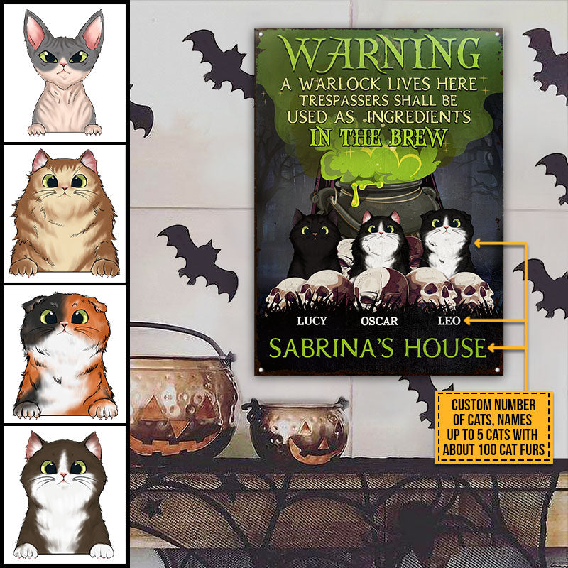 Warning A Warlock Lives Here Cat Magical Things Are Crafted Custom Classic Metal Signs, Personalized Witch Sign